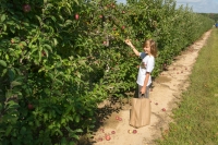 On our annual apple picking trip