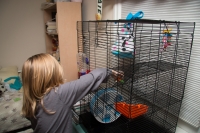 Kyle assembling the rat cage at our house in Fanwood