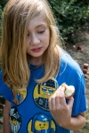 Apple picking at Terhune Orchards in Princeton