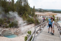 Porcelain Basin at Norris Geyser Basin in Yellowstone