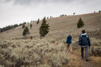 Hiking to Undine Falls in Yellowstone