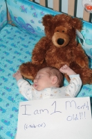 I am 1 Month Old!!!