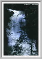Waterfall in the woods