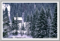 Finally a snowy morning in Hirschegg