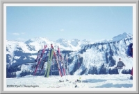 The view from the midmountain hut