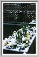 Is it spring or winter?