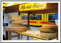 Swiss Cheese