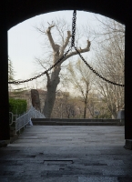 IMG_1564.CR2