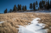 Valles Caldera National Preserve