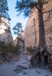 Kasha-Katuwe Tent Rocks National Monument