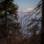 View of Mt. St. Helens from Pittock Mansion