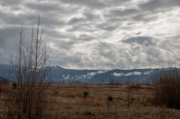 At Steigerwald Lake National Wildlife Refuge in Washougal, Washington