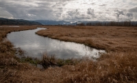 At Steigerwald Lake National Wildlife Refuge