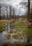 At Steigerwald Lake National Wildlife Refuge