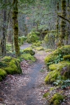 At Fort Cascades Historic Site in North Bonneville, Washington