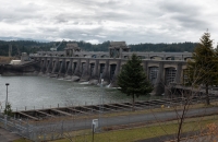 At Bonneville Dam