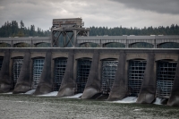 At Bonneville Dam