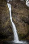 Horsetail Falls in Columbia River Gorge