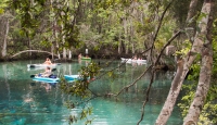 At Three Sisters Spring in Crystal River