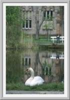 In the Old Botanical Garden, Marburg