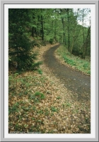 A wooded path, Marburg