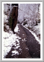 Snowfall in Marburg