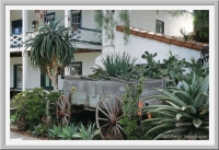 In Old Town San Diego