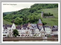 Zell