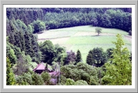 In The Black Forest