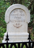 Here Lies Fred
