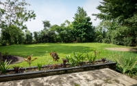Guest house back yard