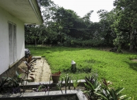Guest house back yard