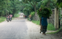 Between the Guest House and main campus