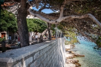 In Korcula
