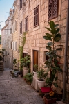 In Korcula