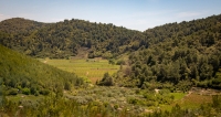 On bus tour of Korcula Island