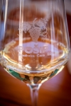 Wine tasting at GroÅ¡iÄ‡ winery in Smokvica