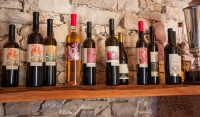 Wine tasting at Toreta Winery in Smokvica