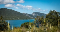 Driving along the coast in Croatia