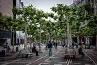 Along the Zeil in Frankfurt