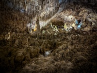 At Carlsbad Caverns National Park