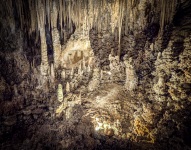 At Carlsbad Caverns National Park