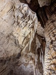 At Carlsbad Caverns National Park