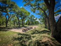 At Rattlesnake Springs Recreation Area,  NM