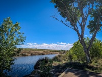 At Black River Recreation Area in Carslbad, NM