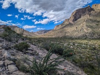 At Slaughter Canyon trailhead near Carlsbad, NM