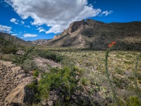 At Slaughter Canyon trailhead near Carlsbad, NM