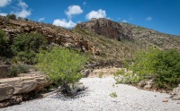 Hiking the McKittrick Canyon trail in Guadalupe Mountains National Park