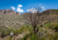 Hiking the McKittrick Canyon trail in Guadalupe Mountains National Park