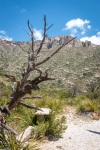 Hiking the McKittrick Canyon trail in Guadalupe Mountains National Park